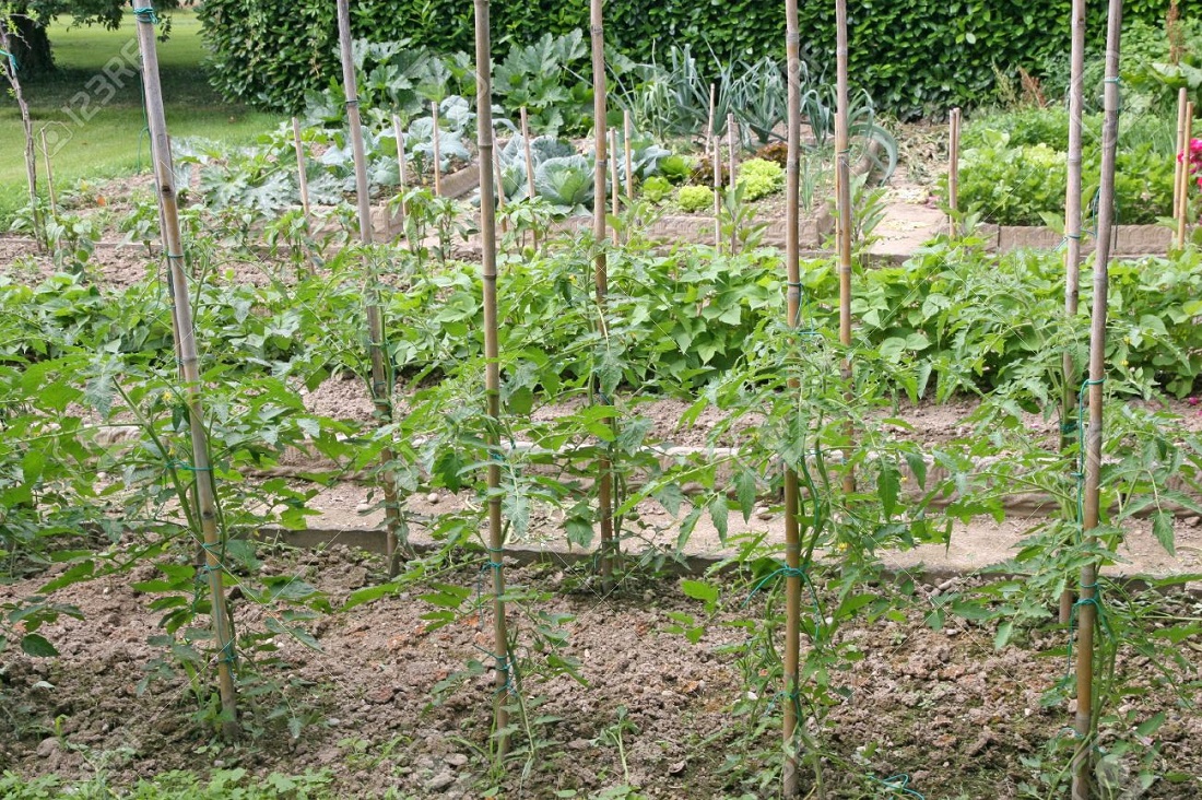 proteger el jardín de fuertes lluvias