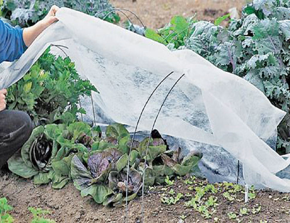 proteger el jardín de fuertes lluvias