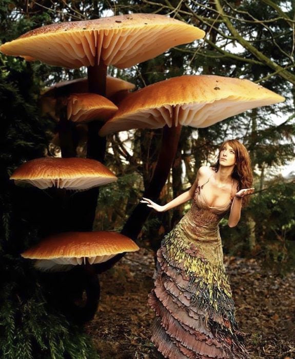 Vestido hecho con hojas secas 