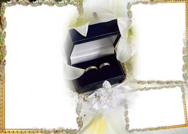 Tres fotos anillos de boda